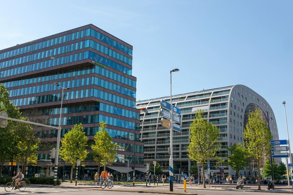 Les Trésors Vinicoles des Vignobles Bordelais : Une Exploration des Grands Crus Classés